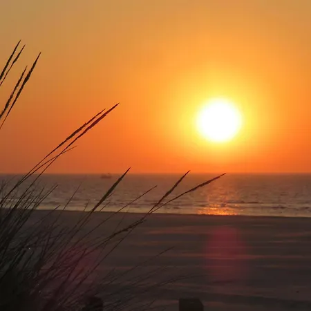 Haus Seerose 245 - Wattblick